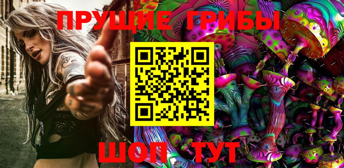 Псилоцибиновые грибы GOLDEN TEACHER  Вход с VPN  Галлюциногенные грибы ЛСД  Пушкино 