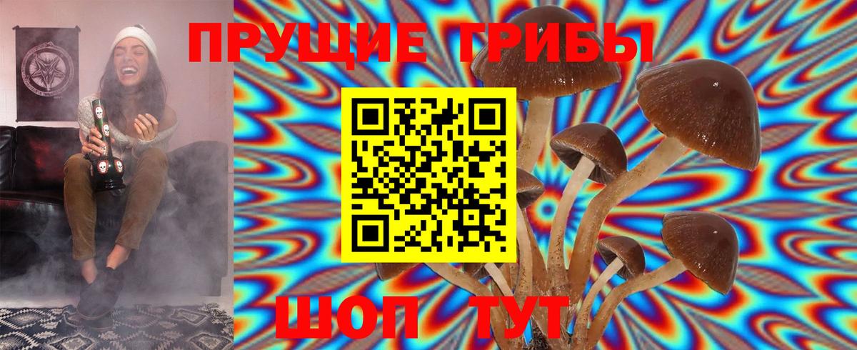 Псилоцибиновые грибы GOLDEN TEACHER Пушкино